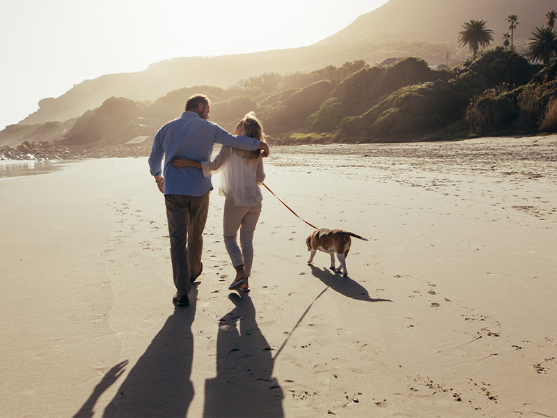 couple walking on beach together with their dog how annuities work baskersfield ca