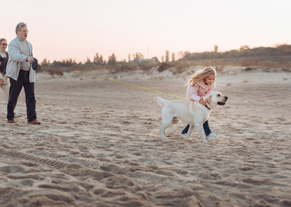 grandmother holding her dog on a leash at the beach while her granddaughter hugs dog annuity basics bakersfield ca